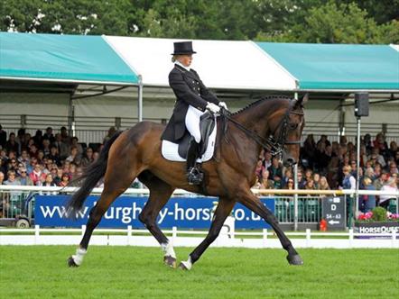 Allstar B and Rosalind Canter