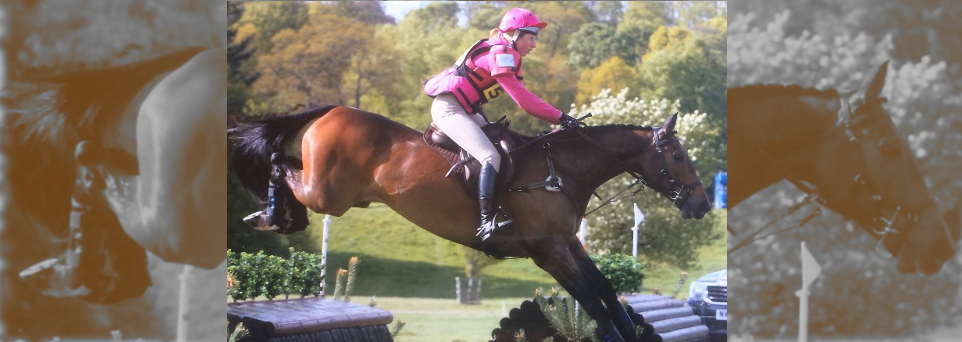 HSS Eyes Only and Rose McPherson